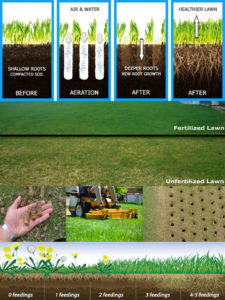 Lawn Aeration and Fertilization -Carrollton, Tx